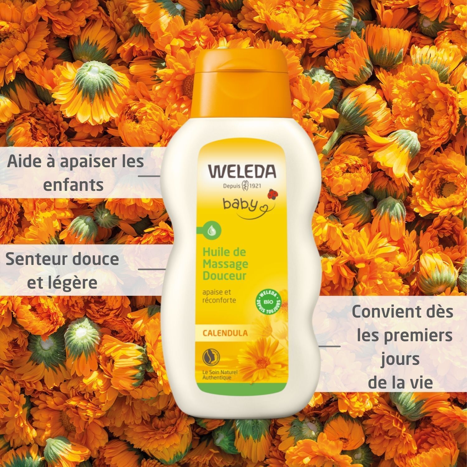 Weleda Baby Calendula Ölflasche, umgeben von Ringelblumen. Text: Aide à apaiser les enfants, Convient dès les premiers jours de la vie.