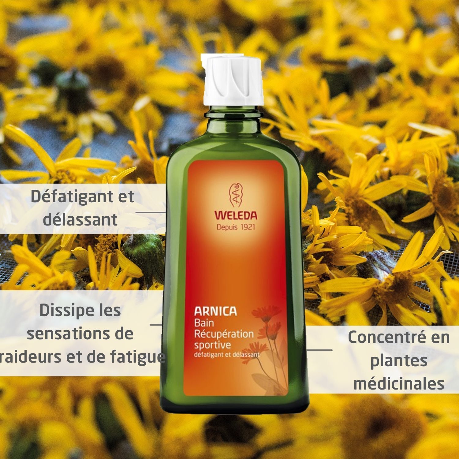 Bouteille verte avec bouchon blanc, entourée de fleurs jaunes. Logo Weleda, nom du produit Arnica.