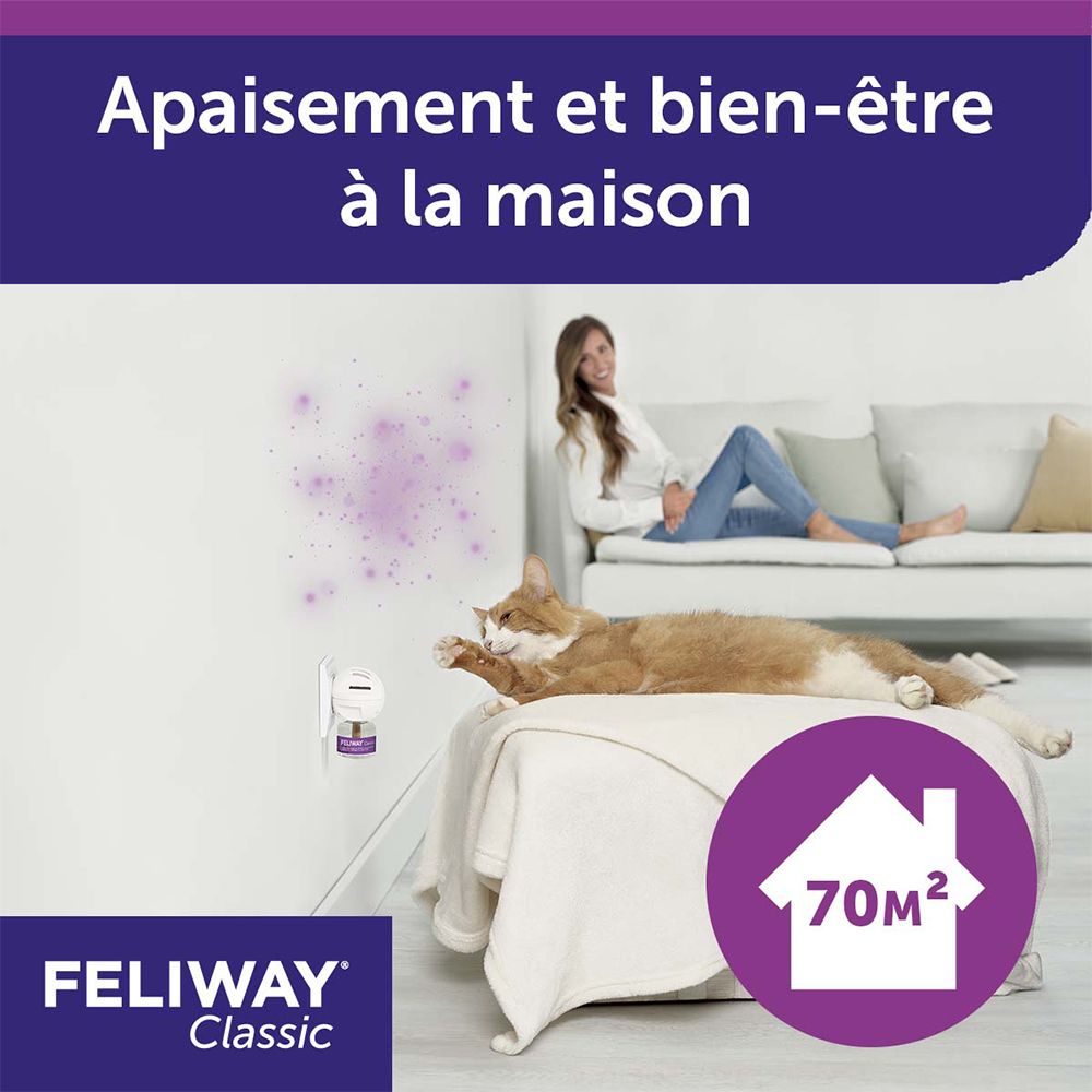 Chat sur un canapé. Texte: Apaisement et bien-être à la maison. 70 m². FELIWAY Classic.