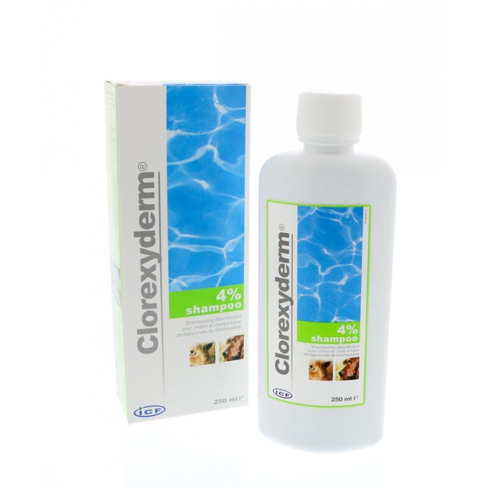 Flacon et boîte de Clorexyderm® Shampooing 4 %. Shampooing blanc, étiquettes vertes et bleues. 250 ml.