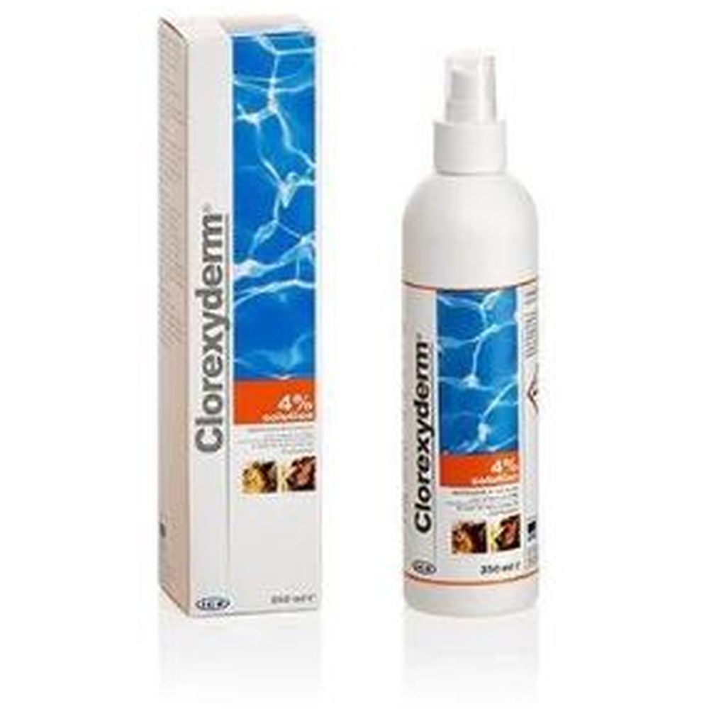 Spray blanc avec tête de pulvérisation et boîte. Inscription Clorexyderm 4%.