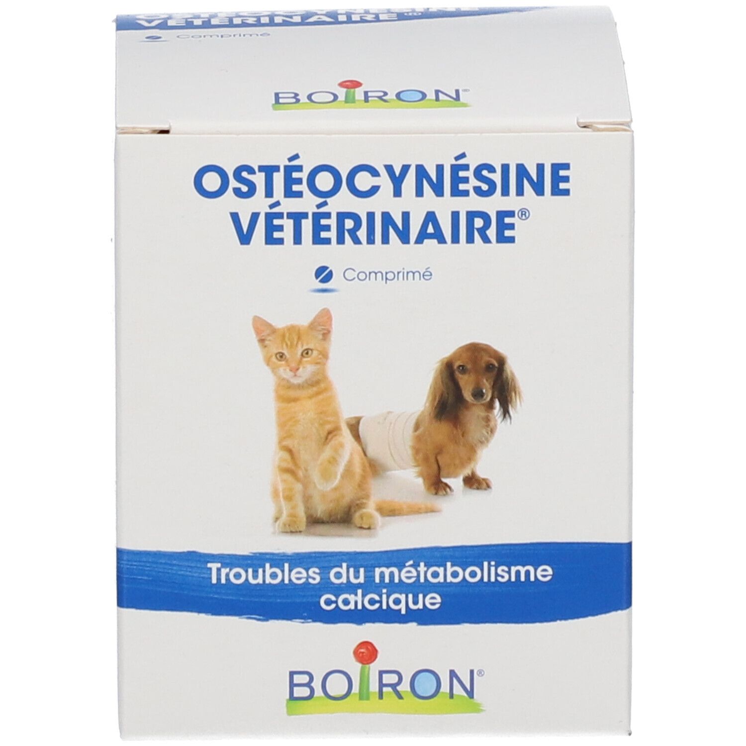 Boîte BOIRON® OSTÉOCYNÉSINE VÉTÉRINAIRE® avec chat et chien. Image du produit et texte. Blanc et bleu.