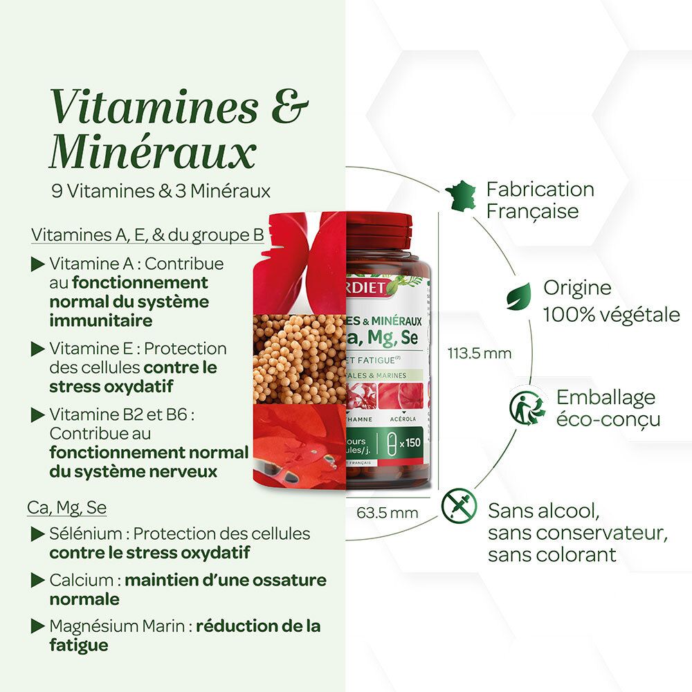 Représentation graphique des vitamines et minéraux. Flacon avec dimensions. Sans alcool, conservateur ni colorant.