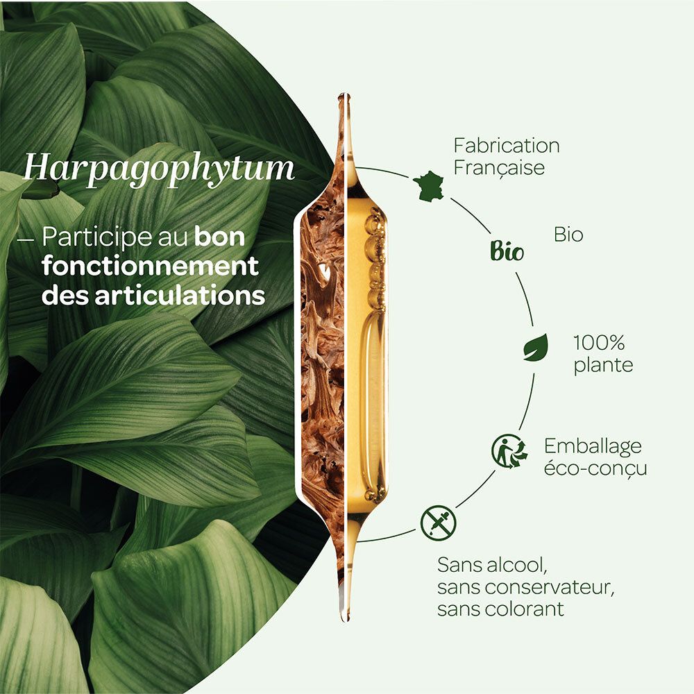 Représentation graphique d'une ampoule avec extrait d'Harpagophytum. Texte : 'Participe au bon fonctionnement des articulations'.