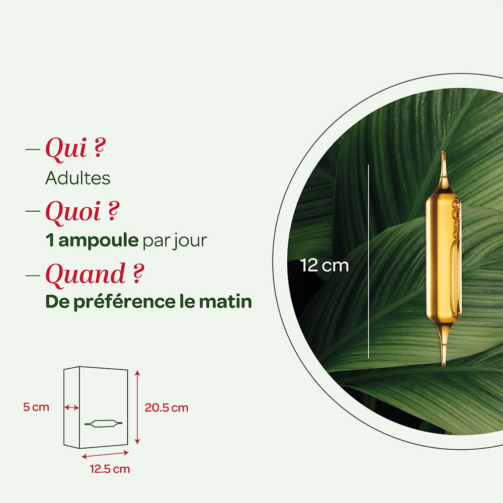 Représentation graphique d'une ampoule. Dimensions : 12 cm de haut, 5 cm de large, 12,5 cm de profondeur. Texte en français.
