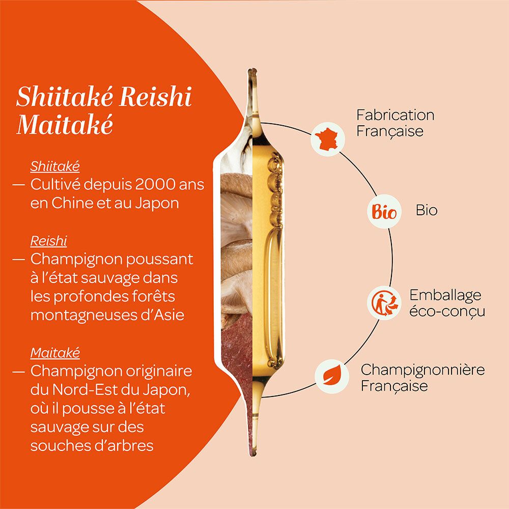 Représentation graphique des ingrédients Shiitake, Reishi et Maitake. Ampoule avec liquide.