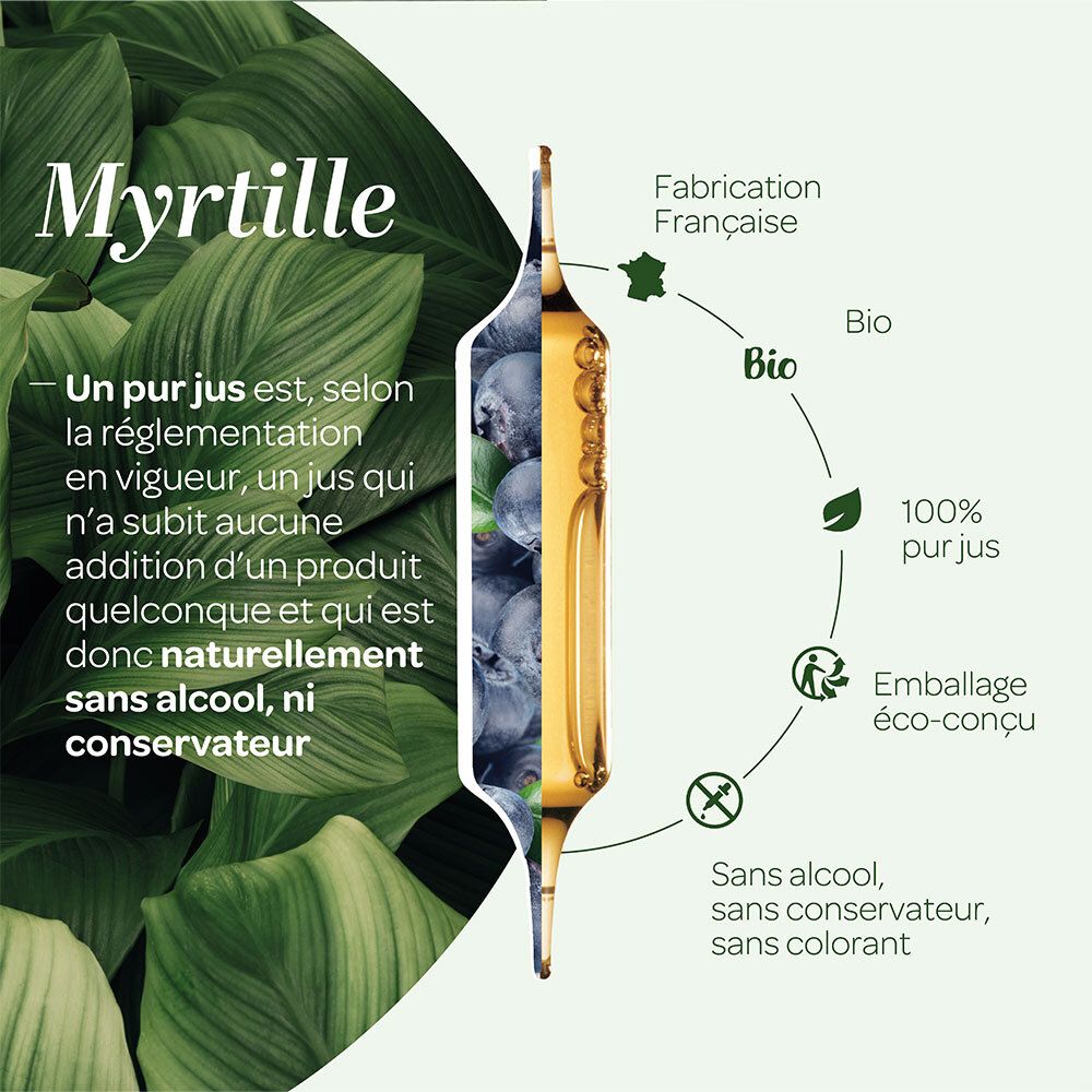 Graphique avec ampoule et myrtilles. Texte : Myrtille, Un pur jus, sans alcool, sans conservateur. Illustrations.