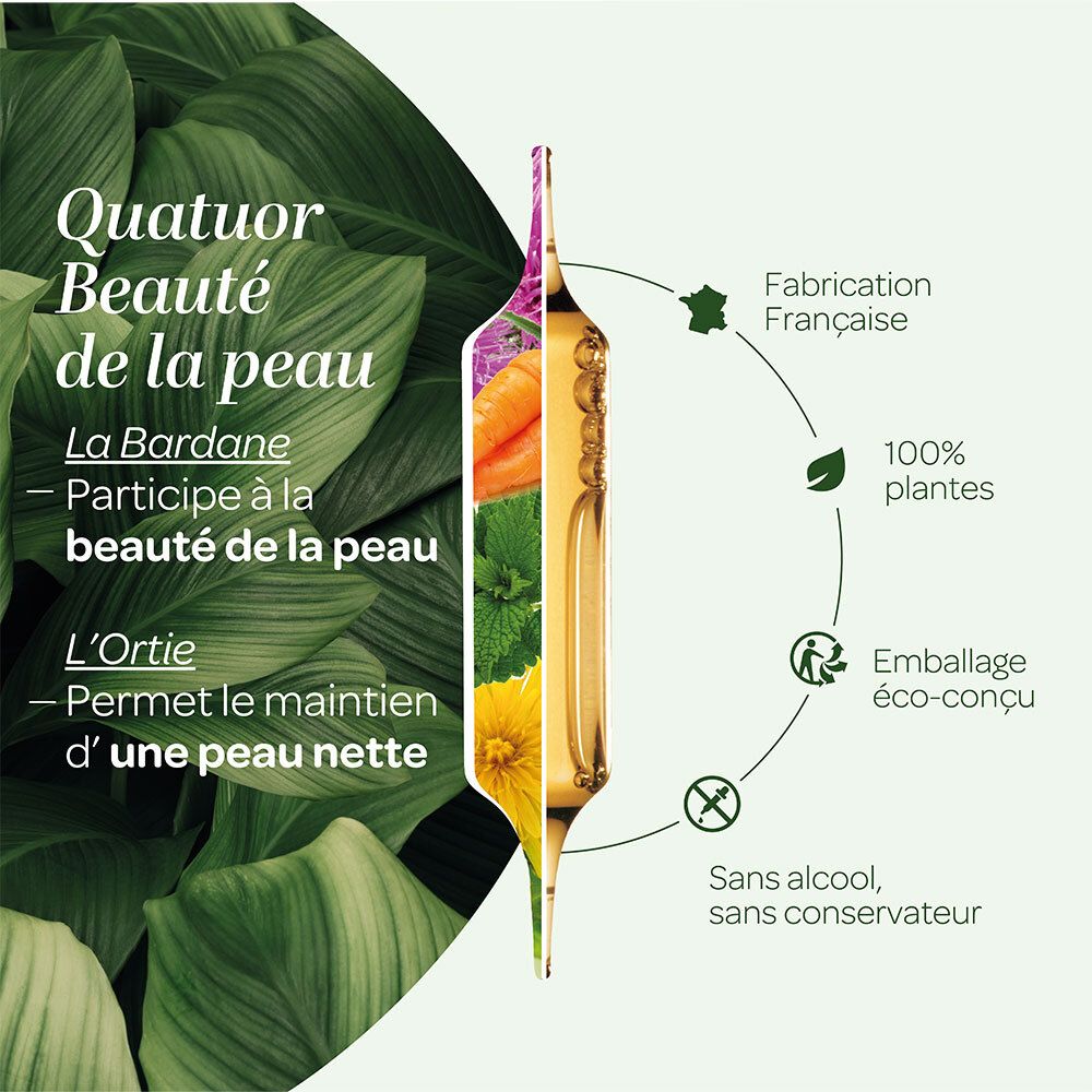 Graphique avec ampoule SUPERDIET Quatuor Bio Beauté de la peau. Illustrations de plantes et infos.
