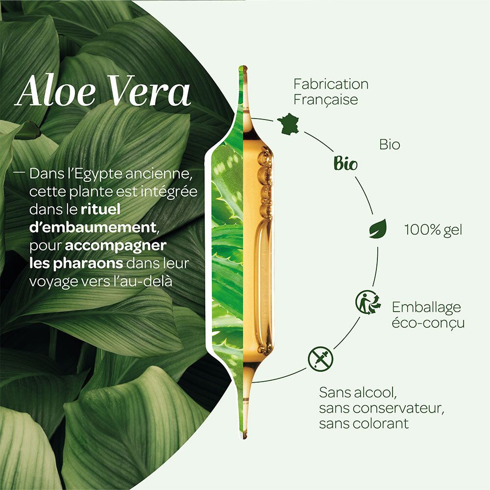 Graphique avec feuilles d'aloe vera et une ampoule. Contient des informations sur la fabrication et les certifications.