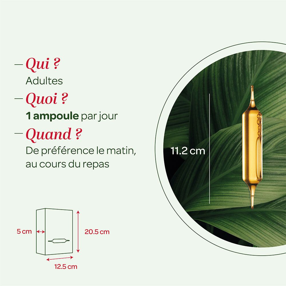 SUPERDIET Bio-Quartett Brûle-Graisse. Image du produit avec dimensions. Montre ampoule et tailles d'emballage.