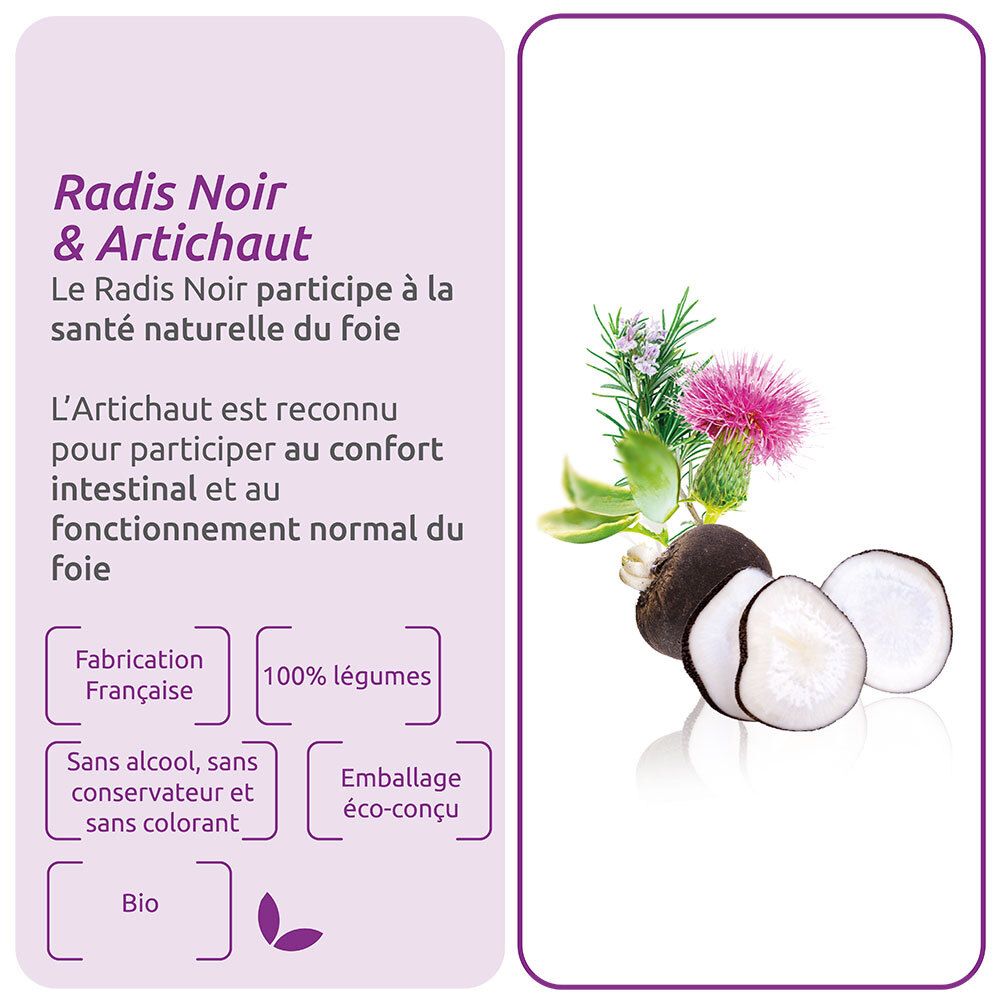 Graphique avec radis, artichaut et texte. Légende en français.