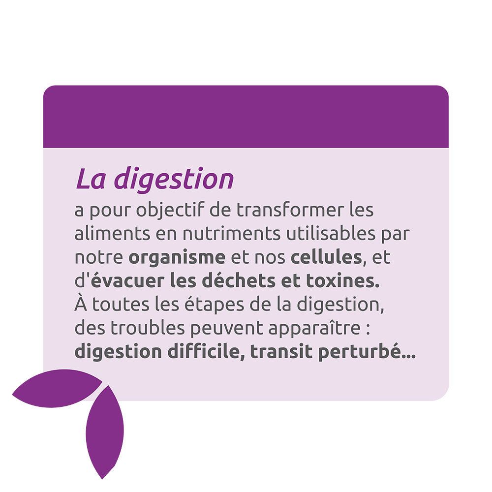 Encadré de texte avec informations sur la digestion. Langue française.