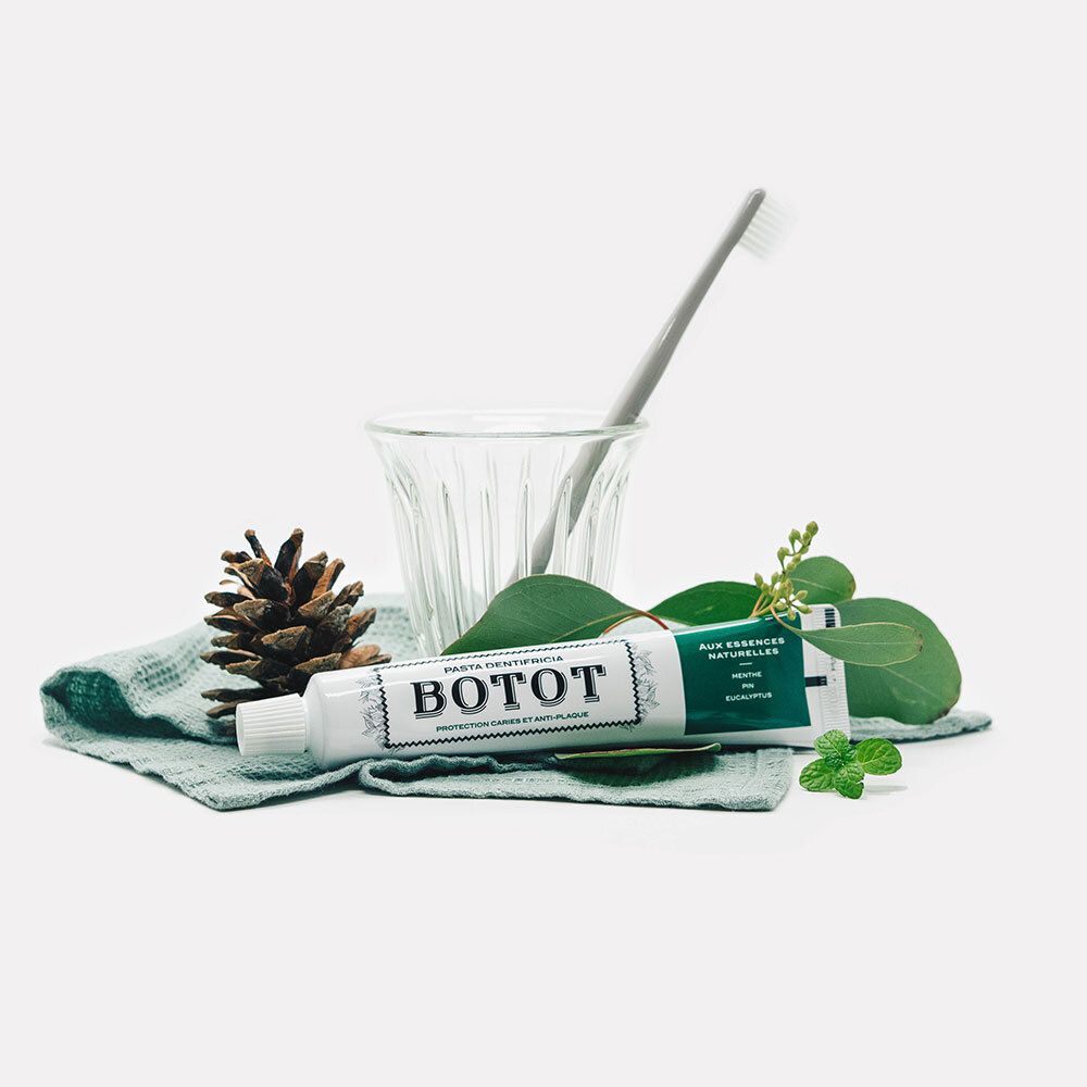 Tube de dentifrice, verre, brosse à dents, pomme de pin et feuilles sur tissu bleu. Inscription BOTOT.