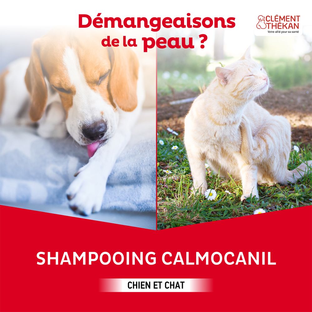 Image publicitaire avec chien et chat. Texte: Shampooing Calmocanil pour chiens et chats.