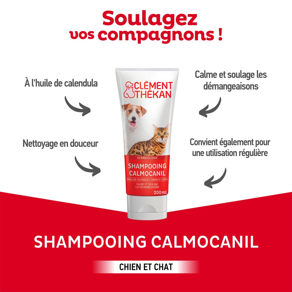 Image publicitaire avec produit et flèches. Contient des informations sur le shampooing Calmocanil.