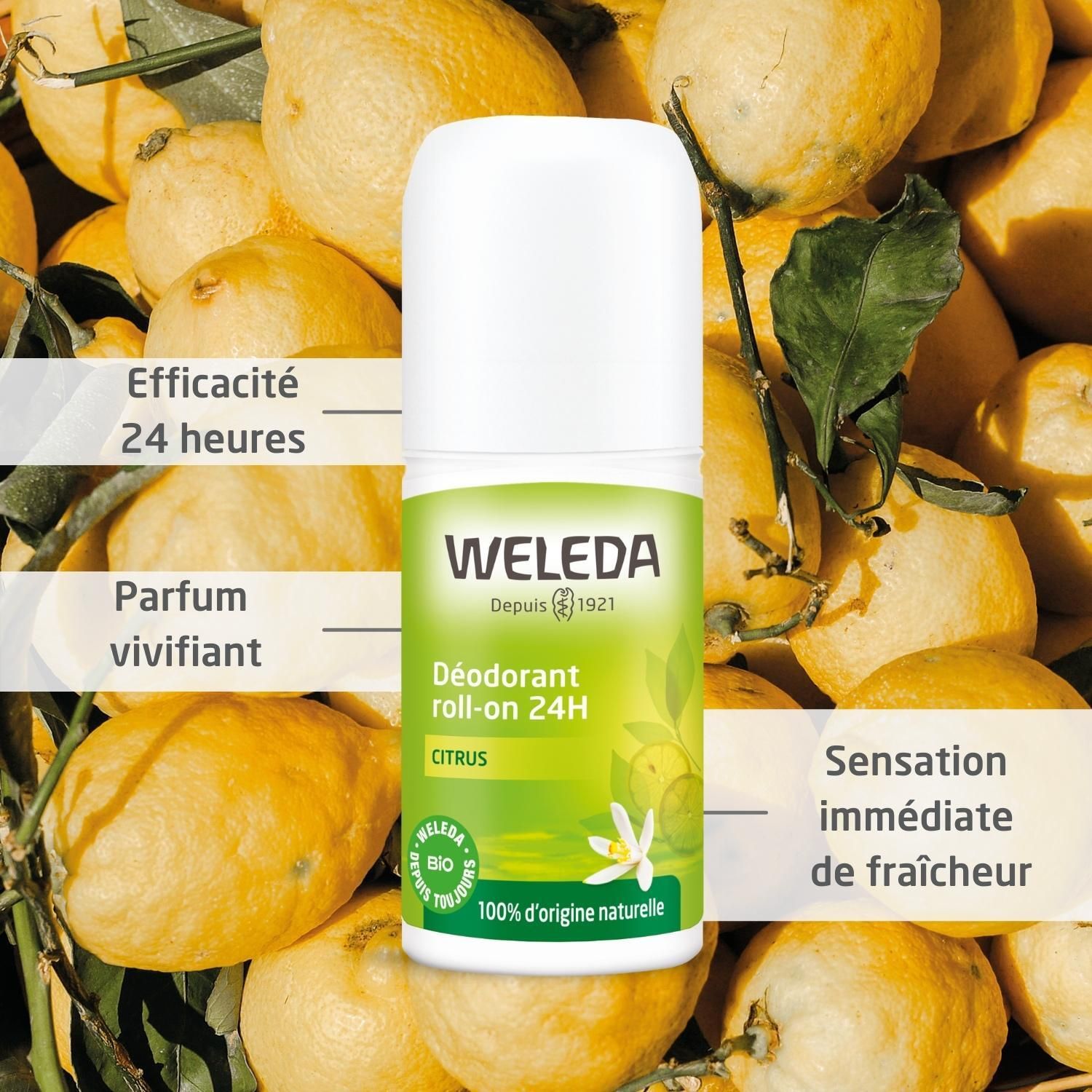 WELEDA Citrus-Déo-Roller 24h devant des citrons. Roll-on blanc, étiquette verte, inscription : efficacité 24h, ingrédients 100% naturels.