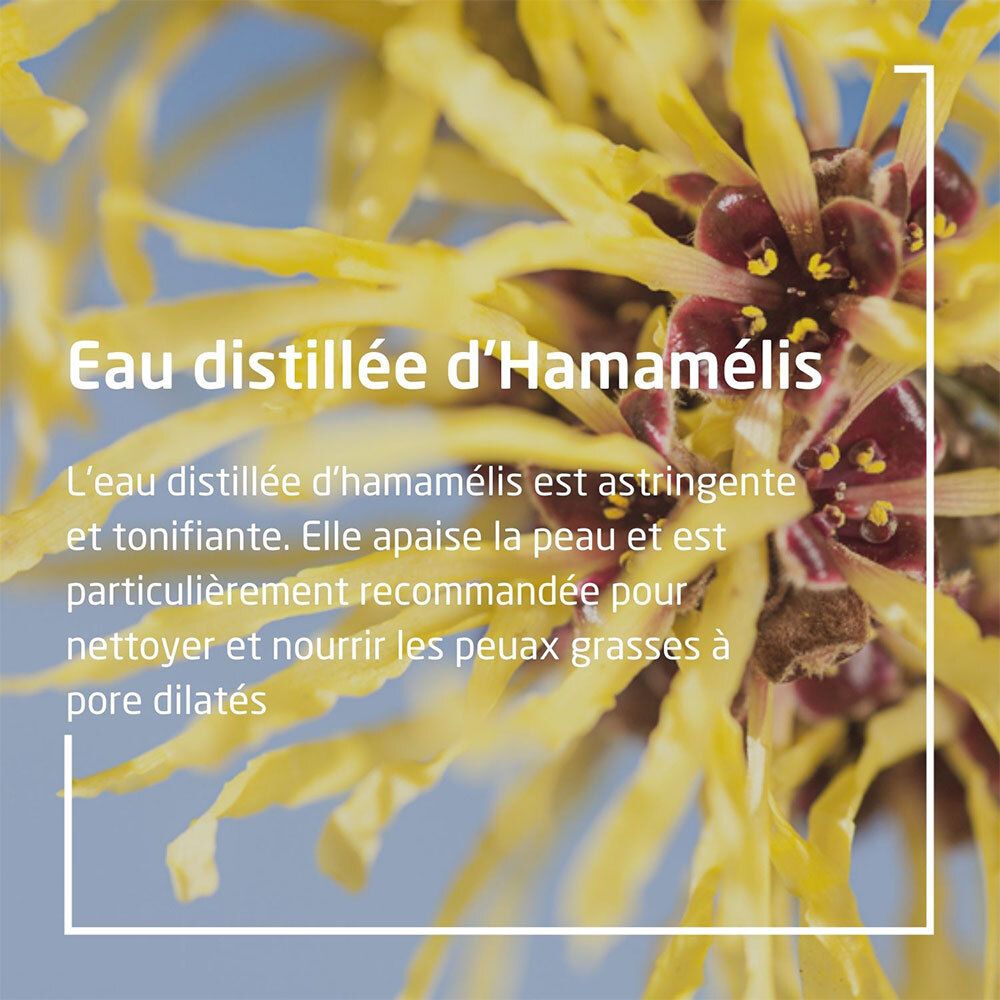 Texte: Eau distillée d'Hamamélis. Texte dans un cadre blanc. Texte: L'eau distillée d'hamamélis est astringente et tonifiante.