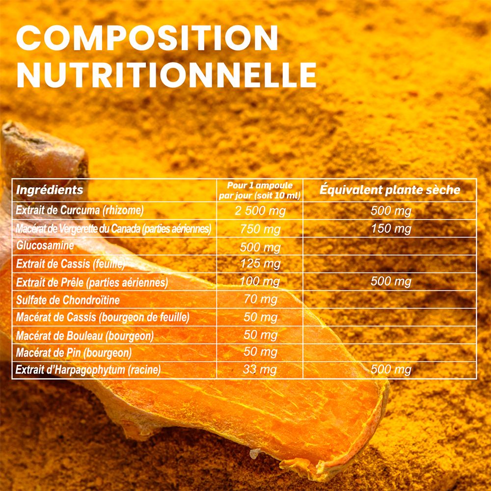 Tableau nutritionnel. Ingrédients : Curcuma, Vergerette du Canada, Glucosamine, Chondroïtine, Cassis, Prêle.