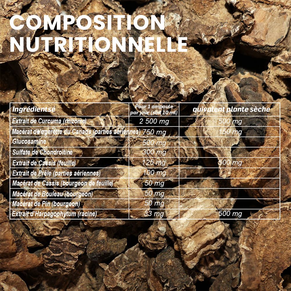 Tableau nutritionnel. Ingrédients : Curcuma, Vergerette du Canada, Glucosamine, Chondroïtine, Cassis, Prêle.