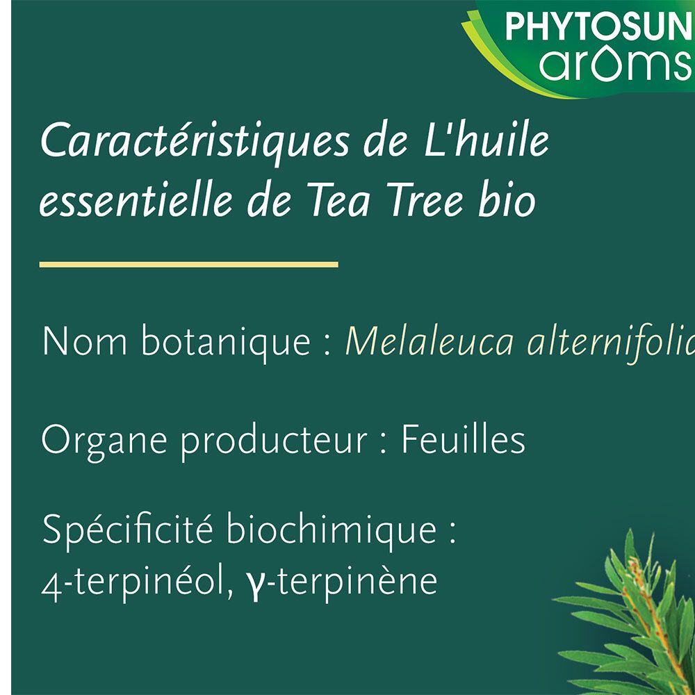 Text: Eigenschaften von ätherischem Tea Tree Öl. Botanischer Name: Melaleuca alternifolia.