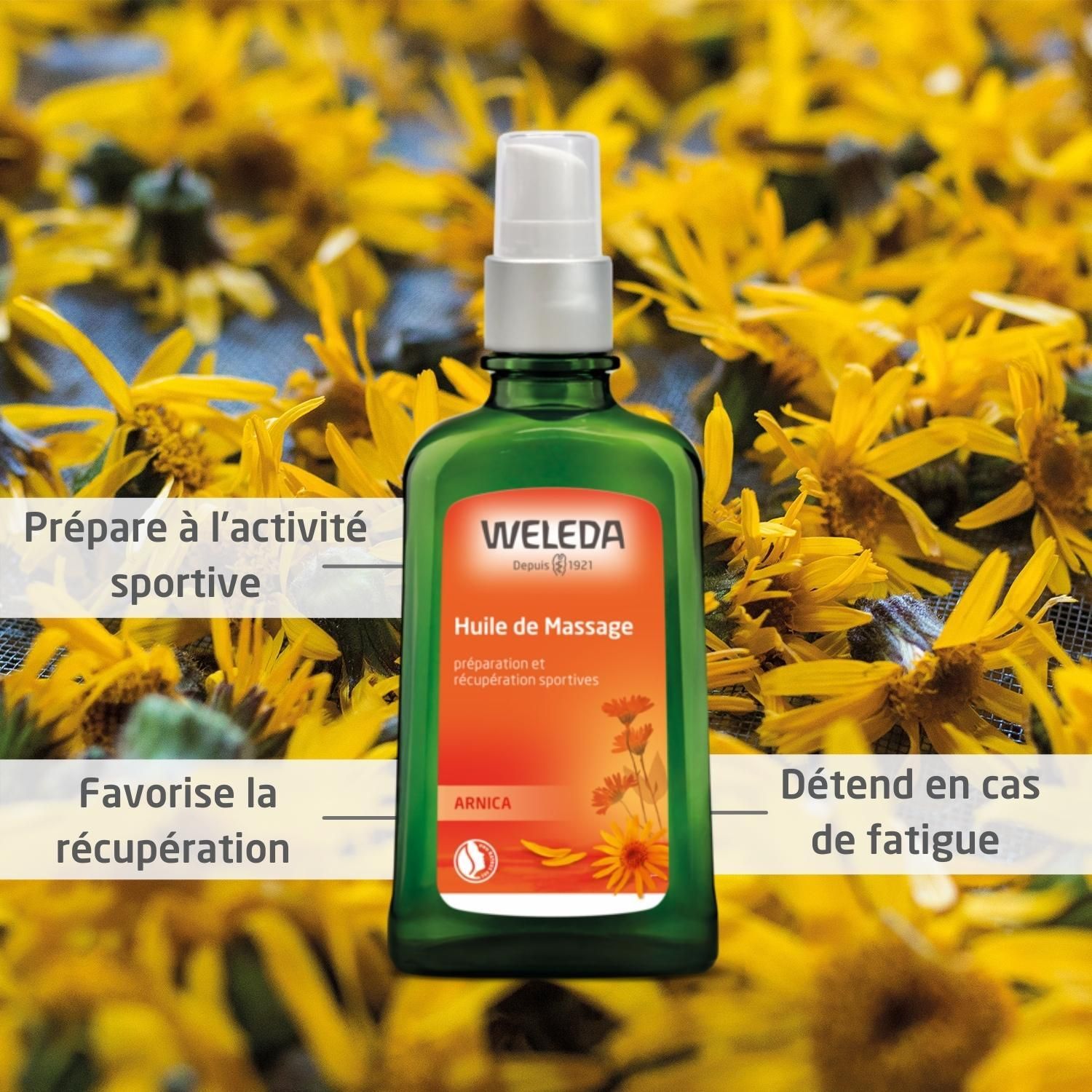 Flacon vert Weleda Huile de Massage Arnica. Sur fleurs jaunes. Texte: Préparation, récupération.