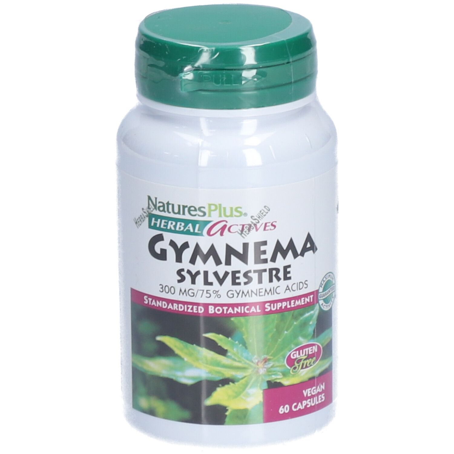 Nature's + Gymnema Sylv Gelul 60