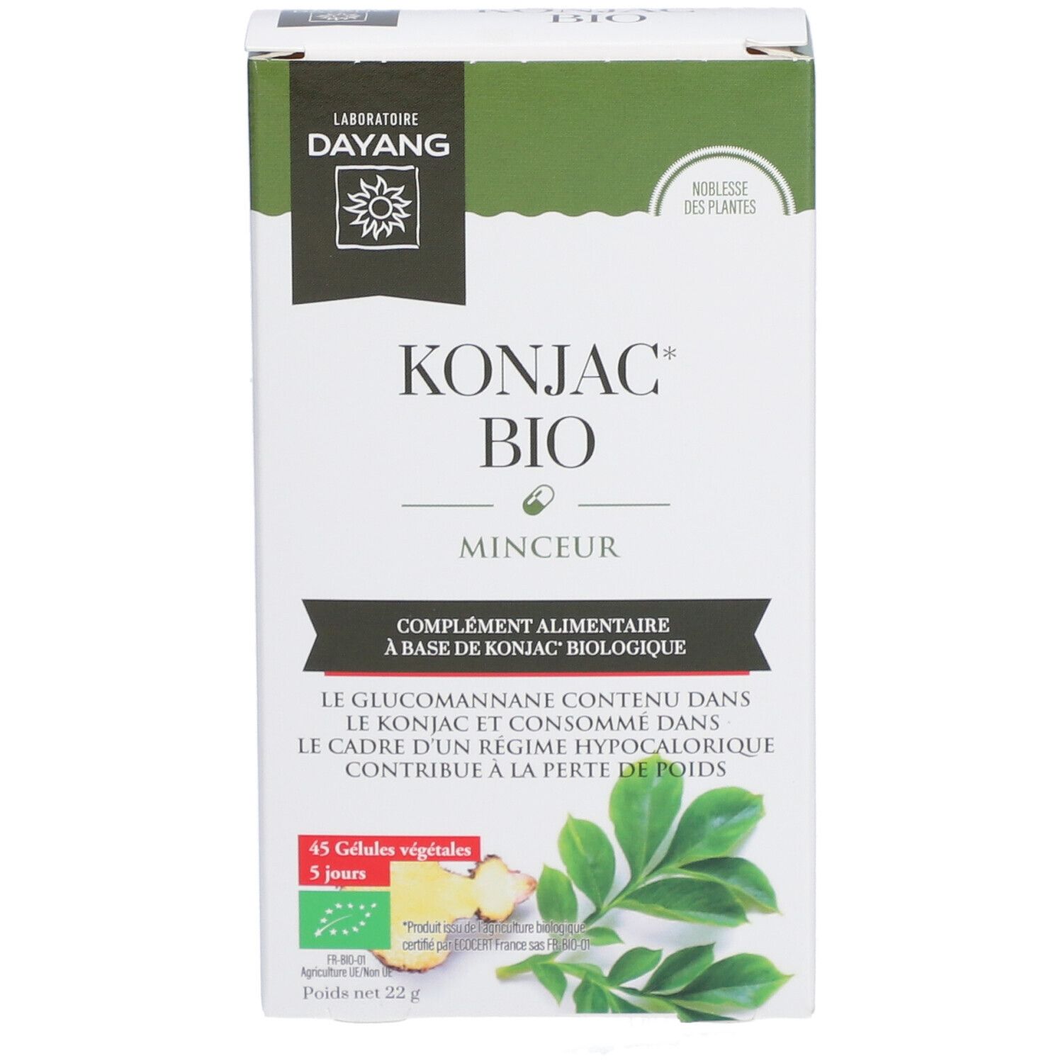 Vorderseite der Dayang Konjac BIO-Verpackung. Produktname, Logo und Inhaltsangaben. Grün-weiße Verpackung.