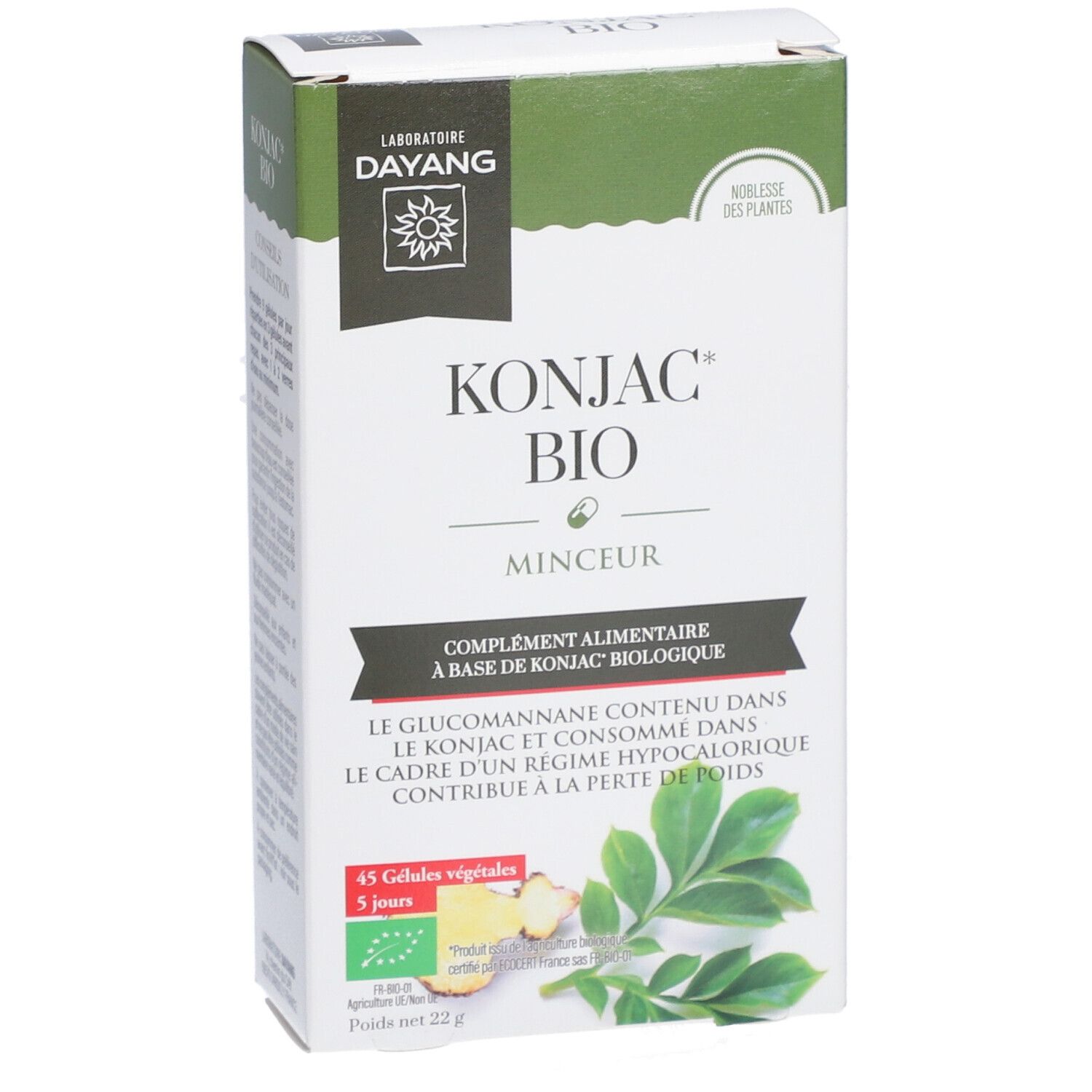Vorderseite der Dayang Konjac BIO-Verpackung. Produktname, Logo und Inhaltsangaben. Grün-weiße Verpackung.