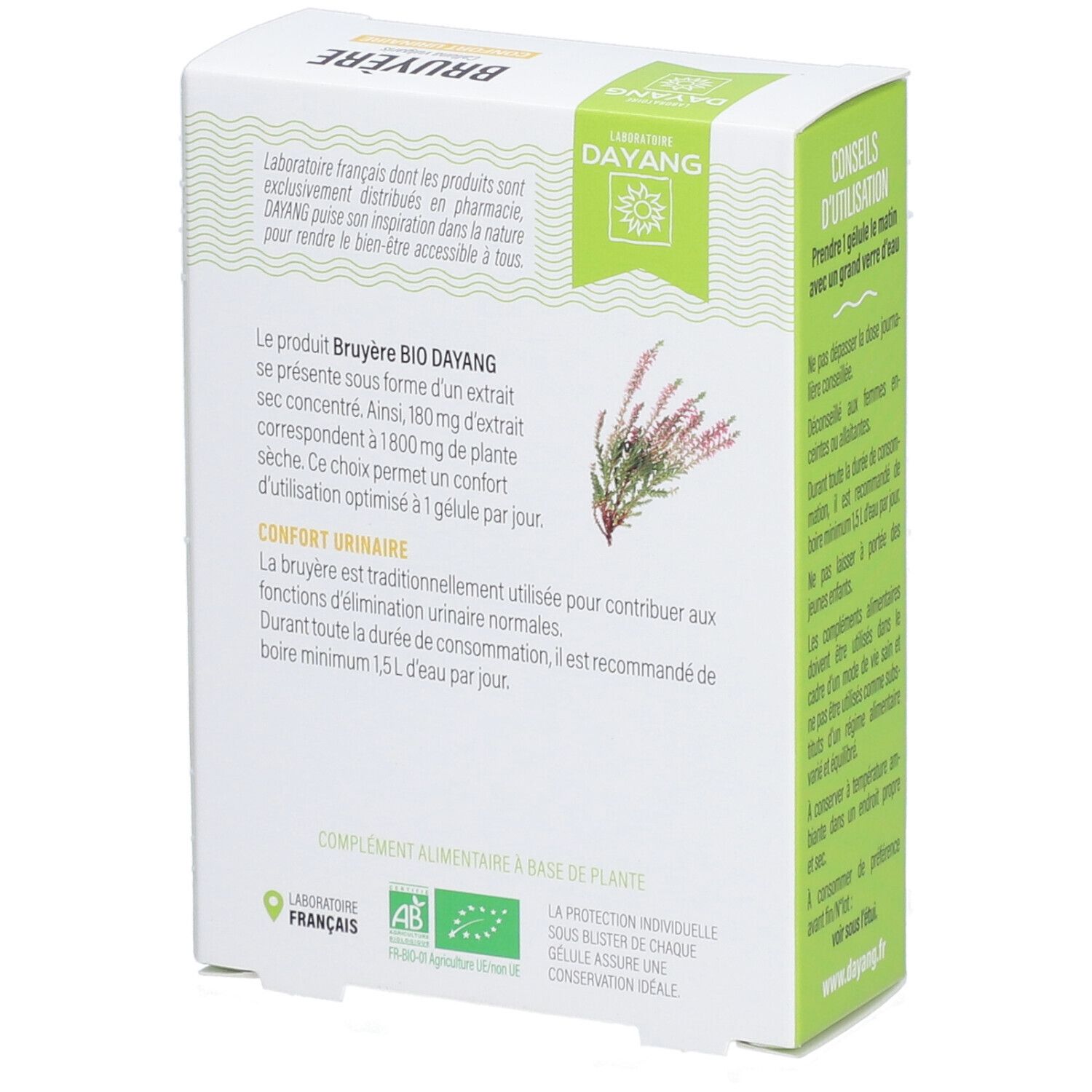Rückseite der Schachtel DAYANG Heidekraut BIO. Text: Bruyère, Confort Urinaire. Mit AB-Bio-Logo und Informationen zum Produkt.