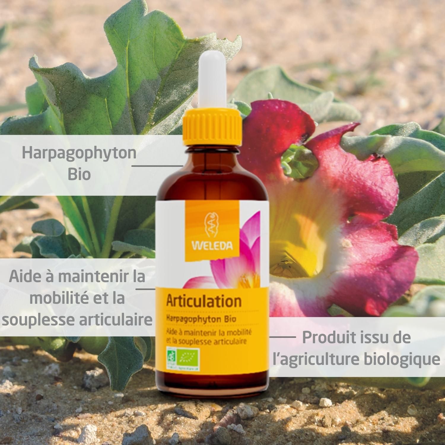 Flacon en verre brun avec étiquette jaune. WELEDA Articulation Harpagophyton Bio. Sur fond végétal.