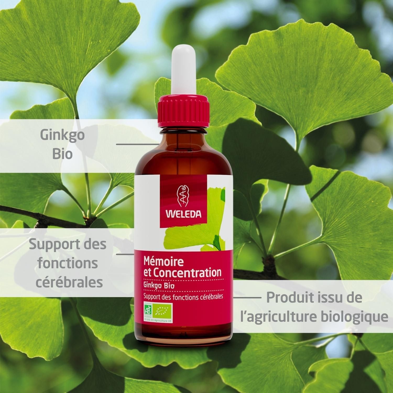 Flacon brun avec pipette et feuilles de ginkgo. Contient Ginkgo Bio Mémoire et Concentration. Avec logo WELEDA.