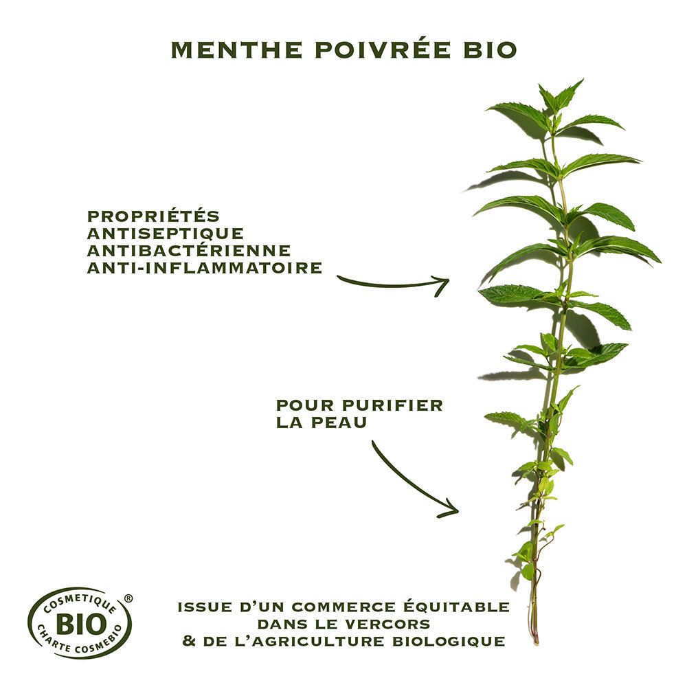 Plante de menthe poivrée avec texte. Propriétés : antiseptique, antibactérien, anti-inflammatoire. Pour purifier la peau. Certification bio.