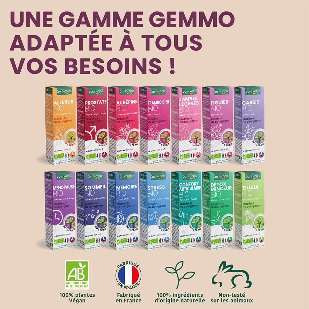 Regal mit verschiedenen Santarome Bio Produkten. Verschiedene Farben und Namen.