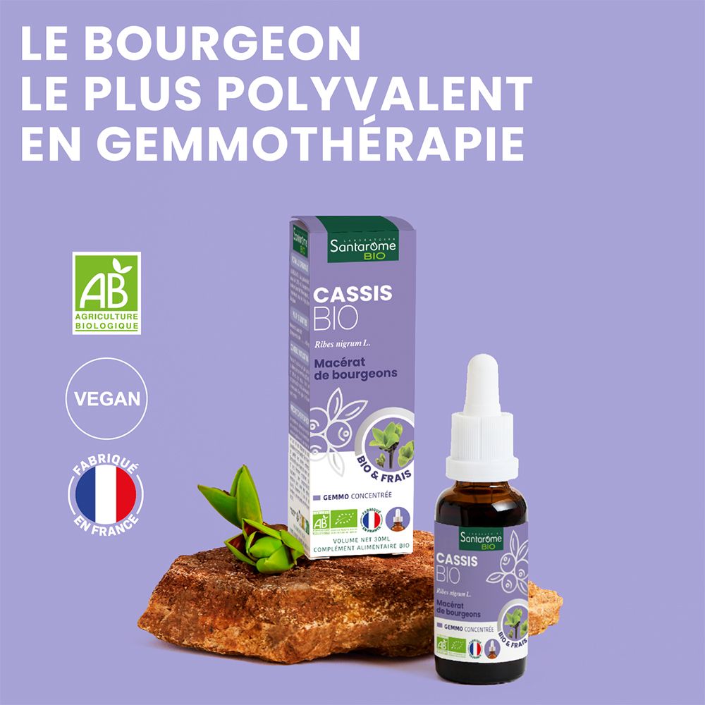 Flacon et boîte sur pierre. Texte : Cassis Bio, Gemmo concentrée. Certification bio, Vegan, Fabriqué en France.