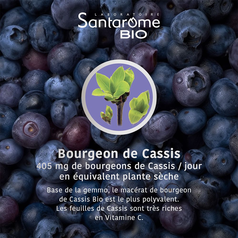 Cassis et feuilles. Texte : Bourgeon de Cassis. 405 mg de bourgeons de Cassis / jour.
