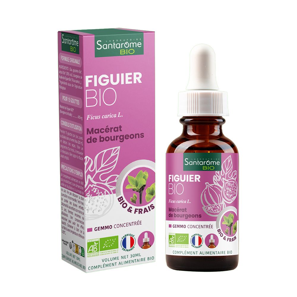 Flacon en verre brun avec pipette et emballage. Inscription: Figuier Bio, Gemmo Concentrée. Certification AB.