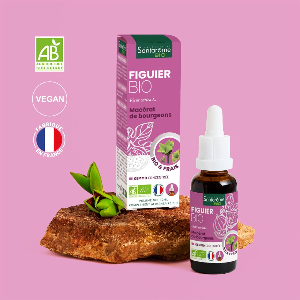 Flacon et emballage sur pierre. Label Vegan, certification AB, Fabriqué en France. Produit: Figuier Bio.