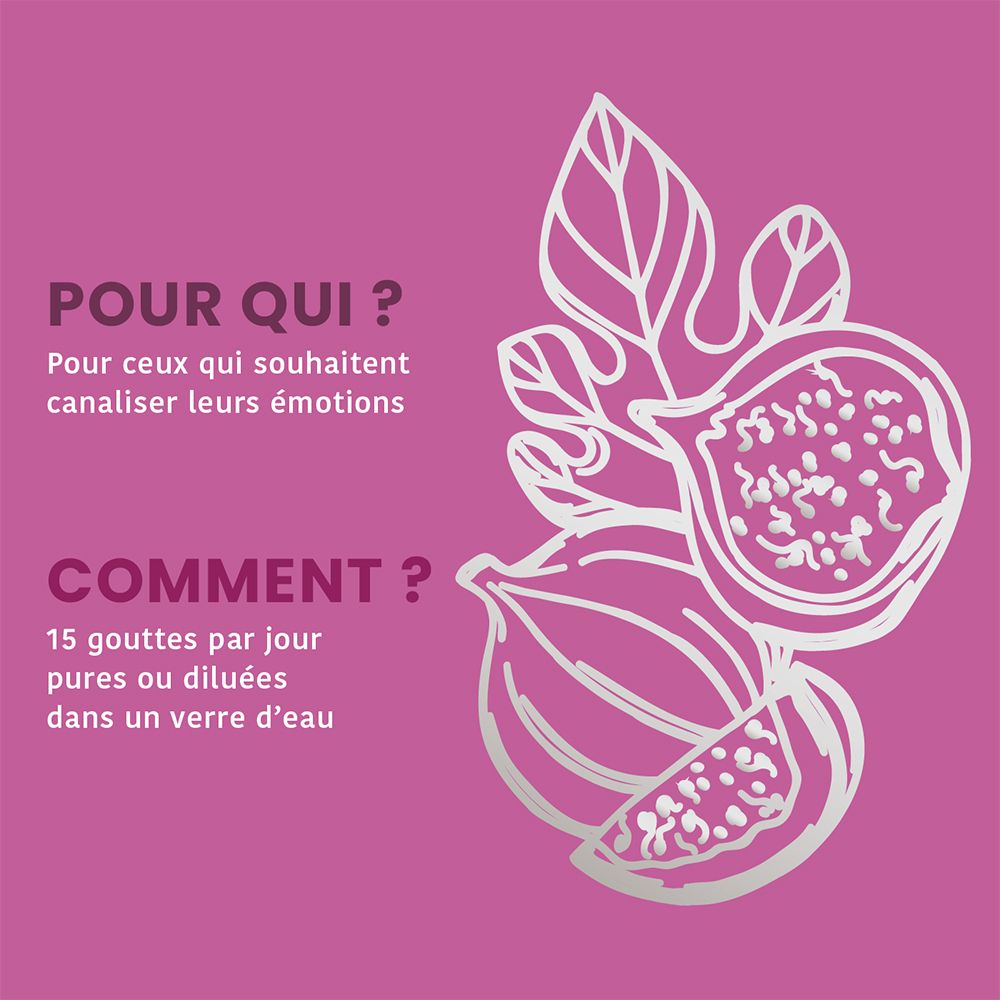 Graphique avec feuille et fruit de figuier. Texte: Pour qui? Comment? 15 gouttes par jour. Fond: rose.