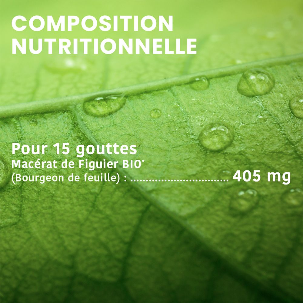 Feuille verte avec gouttes d'eau. Texte: Pour 15 gouttes. Macérat de Figuier BIO. 405 mg.