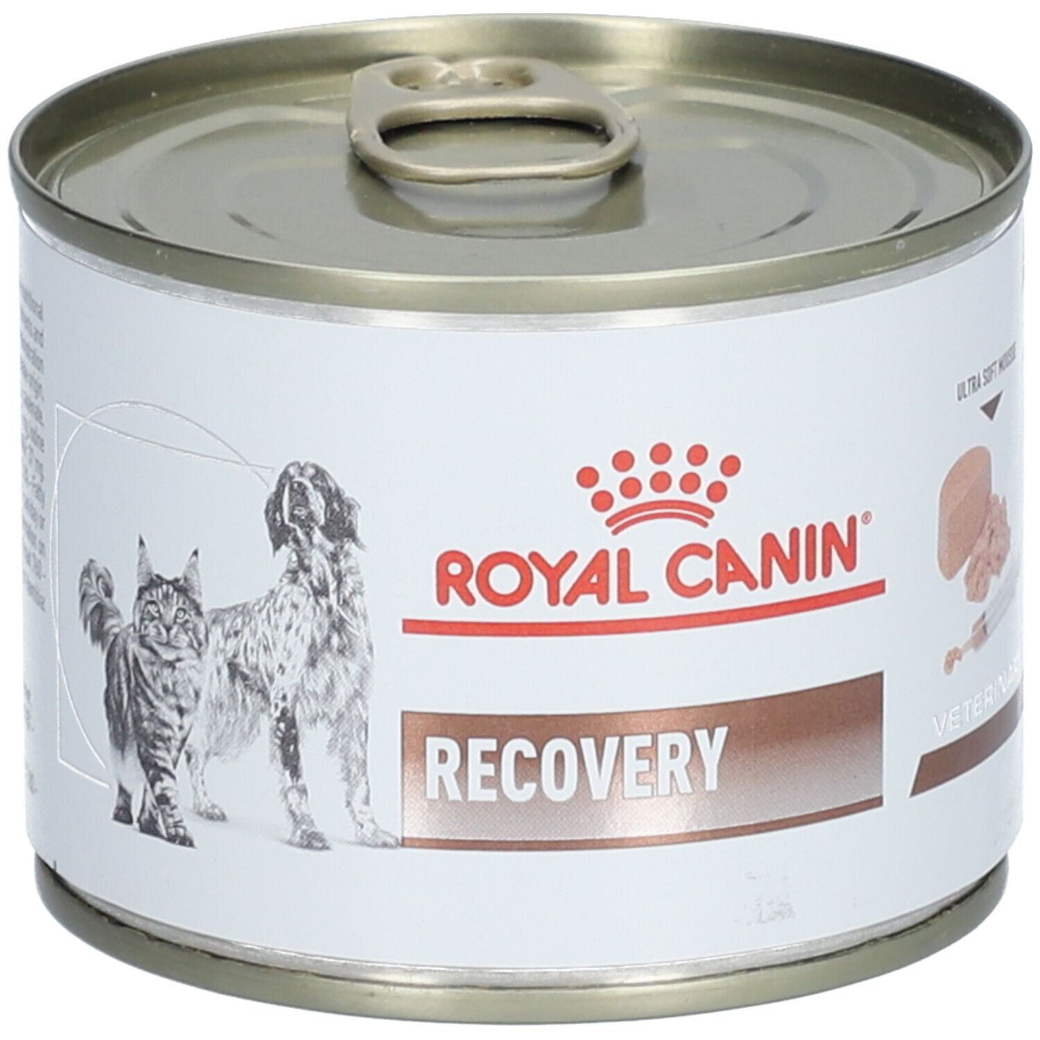 Metall-Dose mit Etikett. ROYAL CANIN, Recovery, Abbildung von Hund und Katze. Ultra weicher Schaum.