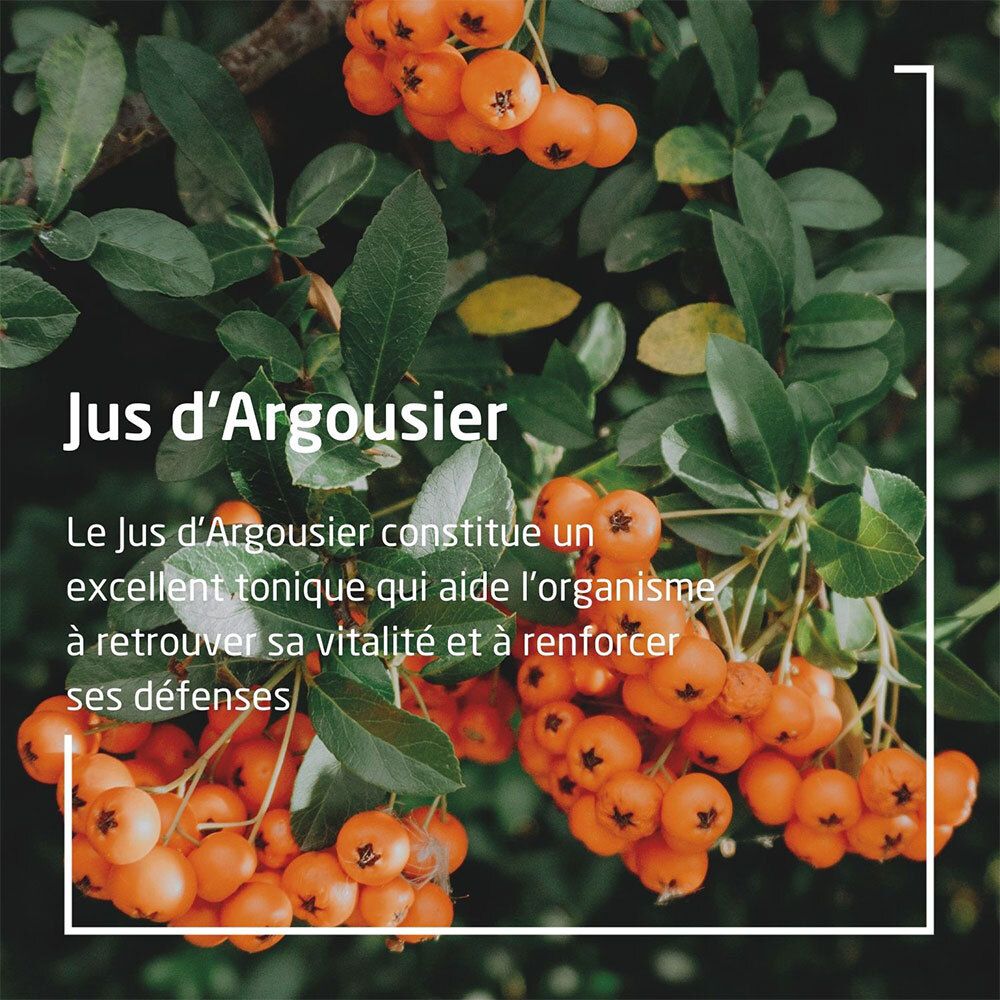 Bouteille en verre brun avec bouchon blanc. Logo WELEDA et label Bio. Texte : Jus d'Argousier. Entourée de branches et baies d'argousier.
