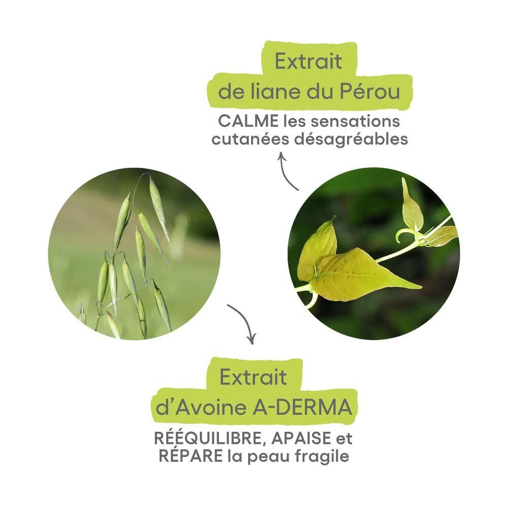 Graphique avec plantes. Extrait de liane du Pérou et Avoine A-DERMA. Apaise et répare la peau.