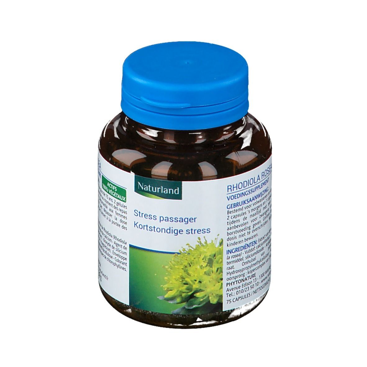 Flacon en verre brun avec bouchon bleu. Étiquette avec informations produit et nom Rhodiola Rosea. 75 gélules.