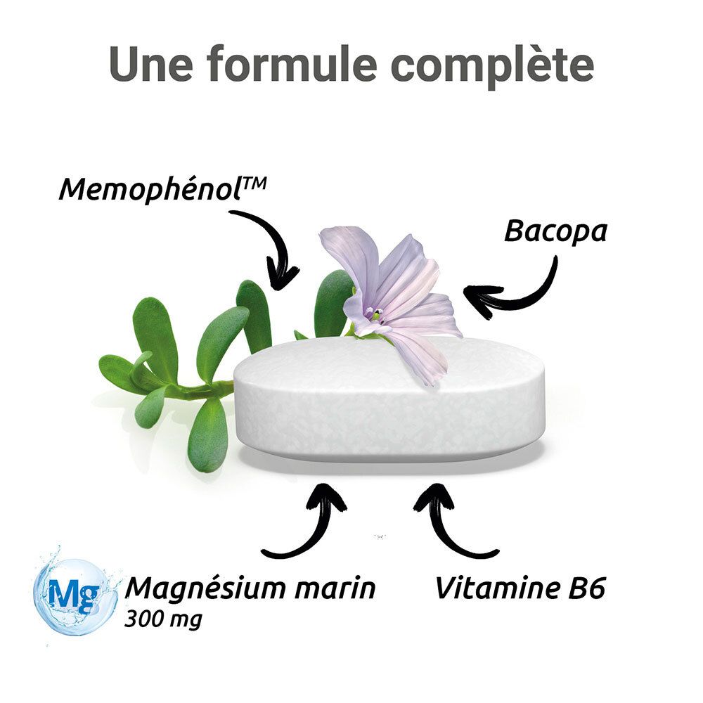 Comprimé, plantes et flèches avec texte : Magnésium marin, Vitamine B6, Memophenol, Bacopa.
