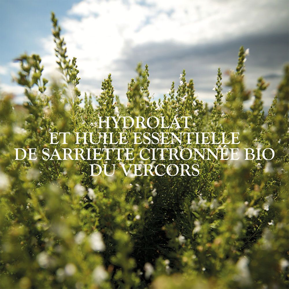 Plantes avec texte: Hydrolat et huile essentielle de sarriette citronnée bio du Vercors.