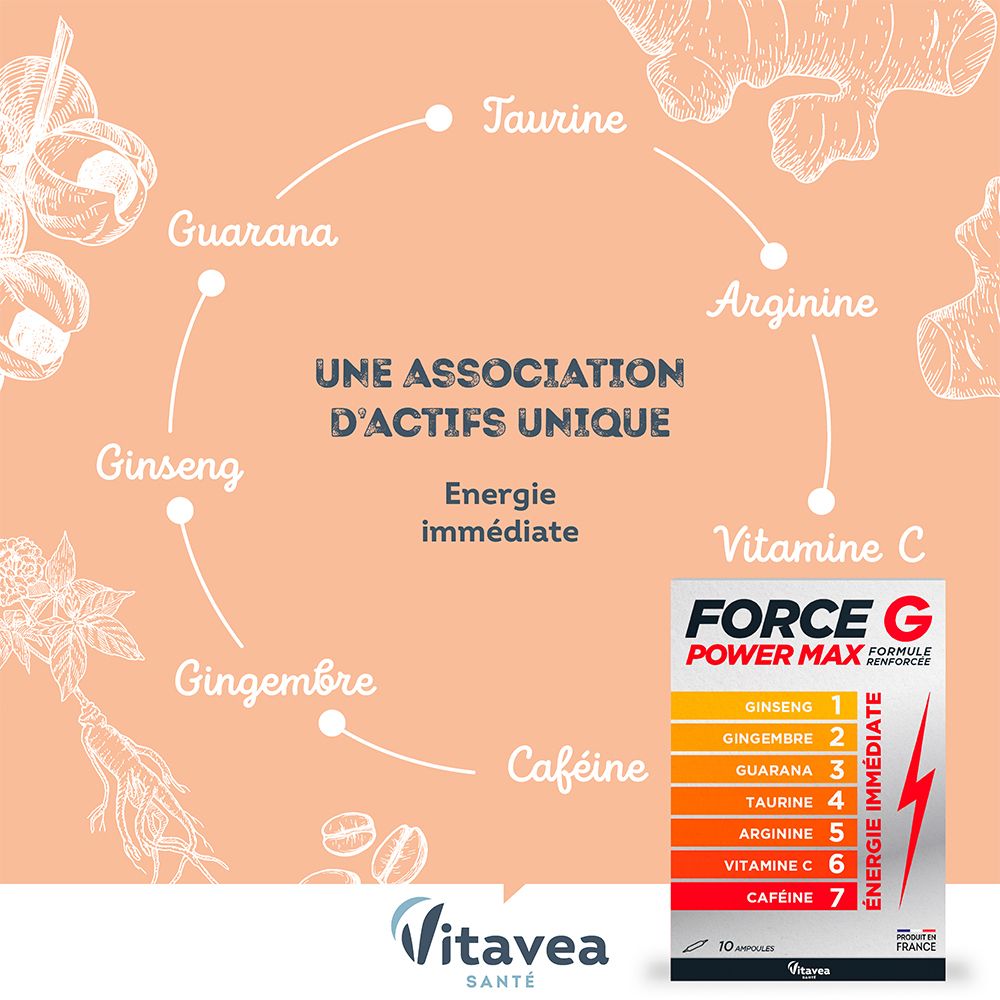 Graphique avec ingrédients FORCE G POWER MAX. Ginseng, Gingembre, Guarana, Taurine, Arginine, Vitamine C, Caféine. Marque : Vitae. Energie immédiate.