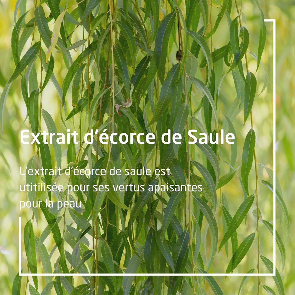 Texte : Extrait d'écorce de Saule. Texte sur les propriétés apaisantes de l'extrait d'écorce de saule pour la peau.