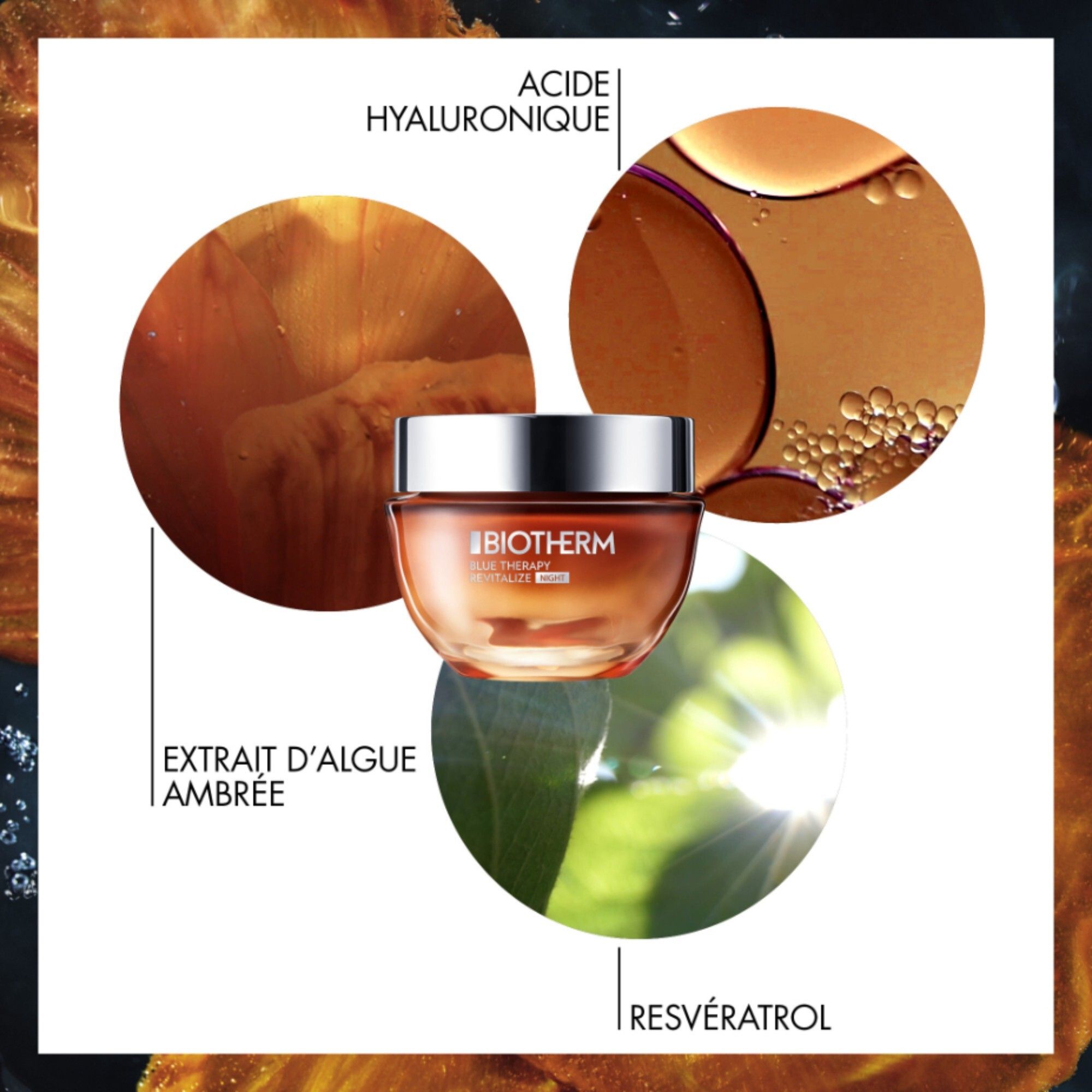 Creme-Tiegel mit Inhaltsstoffen: Extrakt d'Algue Ambrée, Resvératrol, Acide Hyaluronique.