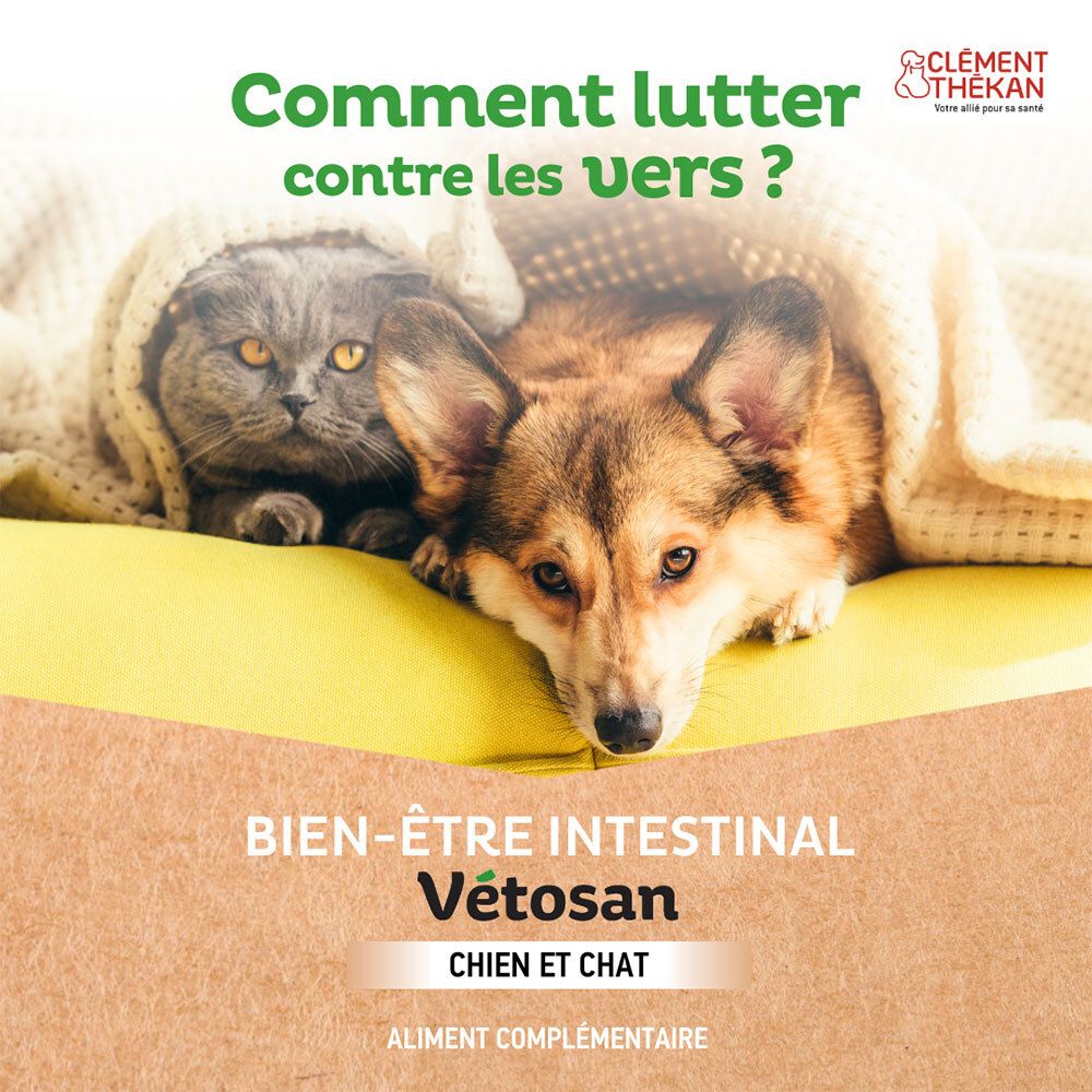 Chat et chien sous une couverture. Texte: Comment lutter contre les vers ? Bien-Être Intestinal Vétosan. Chien et chat.