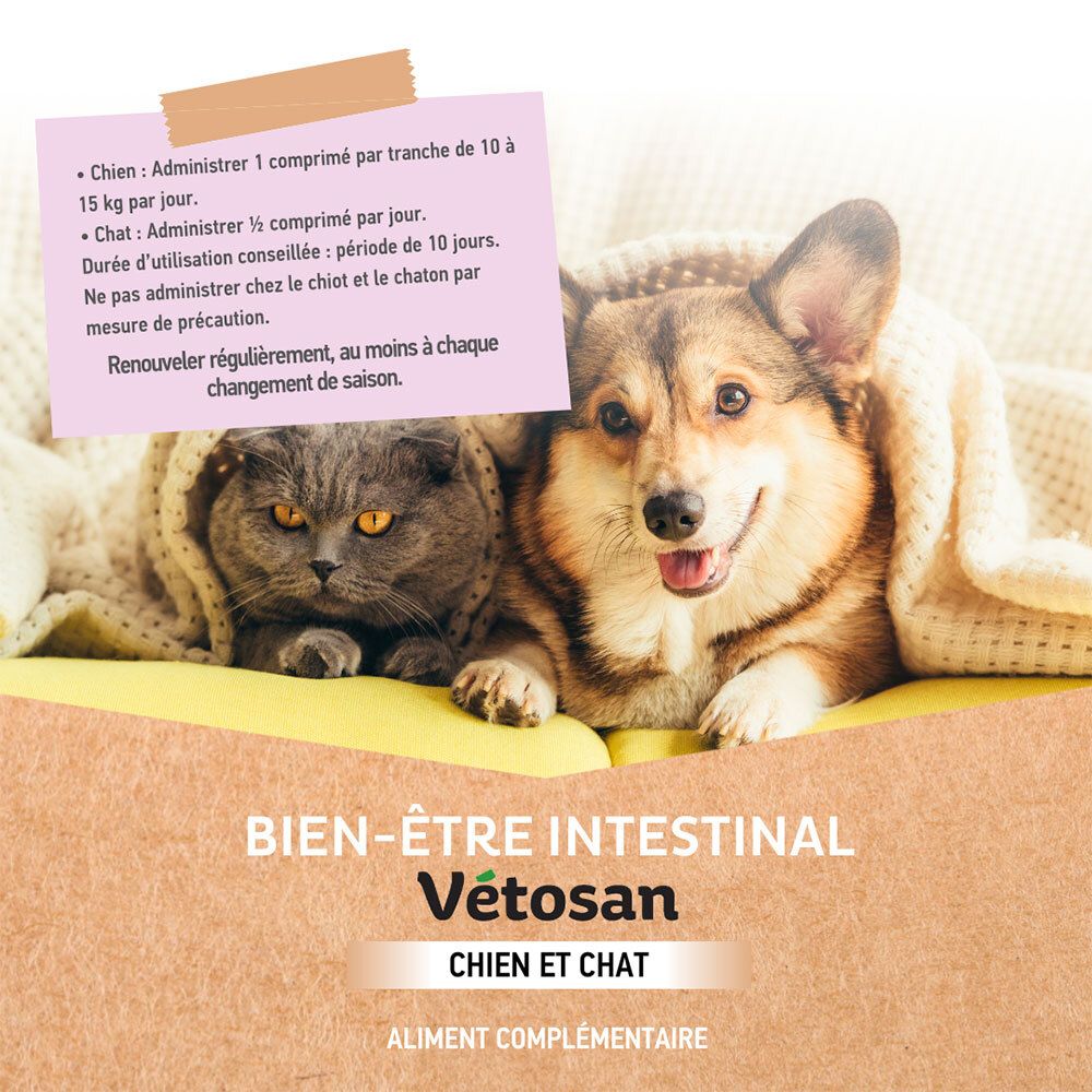 Chat et chien sous une couverture. Texte: Bien-Être Intestinal Vétosan. Chien et chat. Recommandations d'utilisation.
